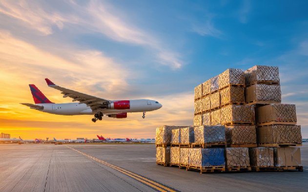 Import Logistic Processes Flyworld Max International LLP — Export & Import Partner